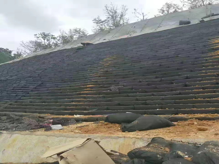 生態袋的功能與應用