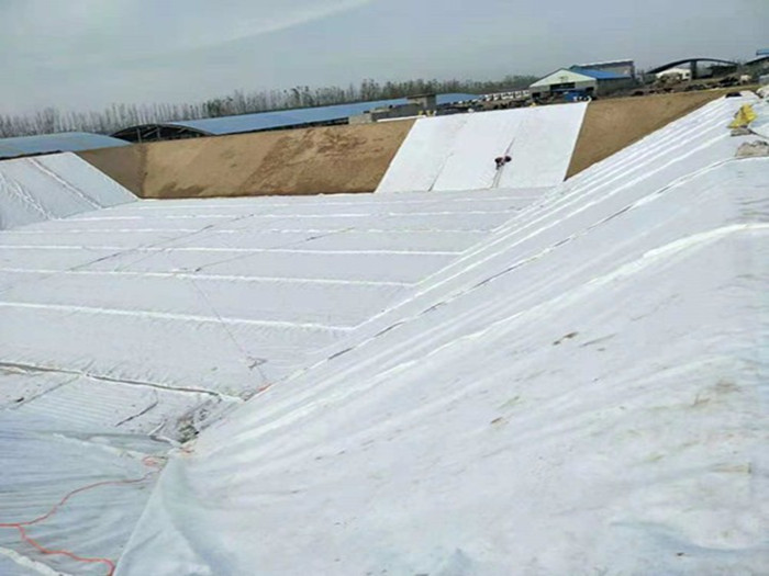 復(fù)合土工膜分類及項目使用