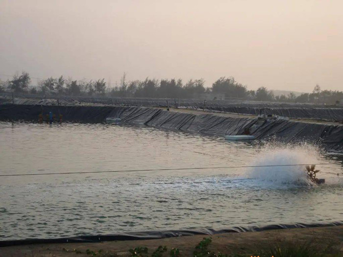 環保材料之防滲膜